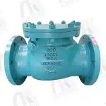 Swing Check Valves Manufacturer
