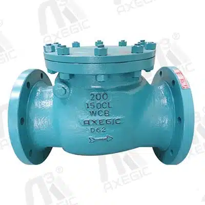 Swing Check Valves Manufacturer